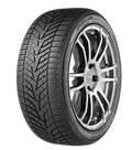 WINTER TIRE V905 BLUEARTH 215/45R17