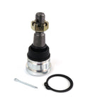 DFC carbon auto part