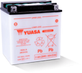 Yuasa YB30L-B Yumicron CX 12-Volt Battery
