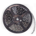 SRV KIT LED WARRANTY 11FT0IN