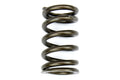 Brian Crower Subaru EJ Series / Toyota 3SGTE/GE Single Spring & Steel Retainer Kit