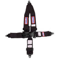 SFI 16.1 CAM-LOCK HARNESS 3' PULL D