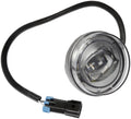 FOG LAMP ASSEMBLY