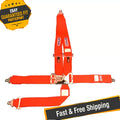 SFI 16.1 CAM-LOCK HARNESS 3' PULL U