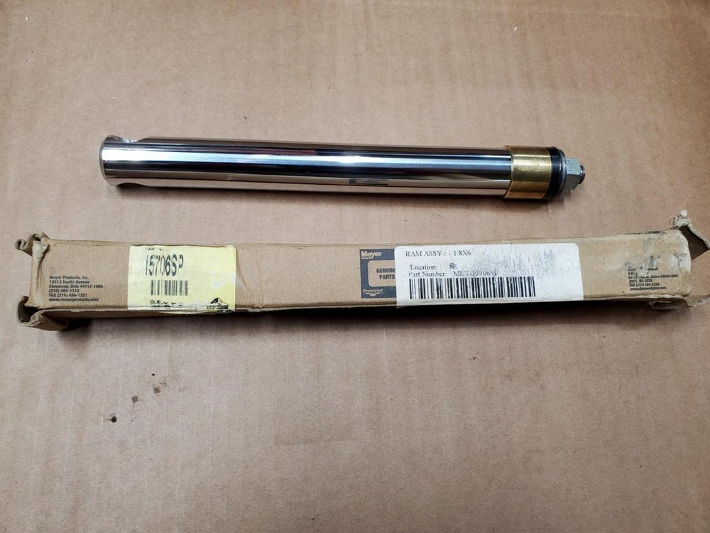 RAM ASSY: 1 1/8 X 6