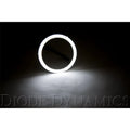Diode Dynamics Halo Lights LED 80mm/100mm - Red (Pair)