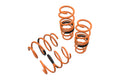 Megan Lowering Springs Honda Civic 16
