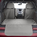 CL CARHARTT TOYOTA 4RUNNER