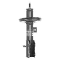 OESPECTRUM PREMIUM STRUT
