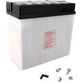 Yuasa 51913 Yumicron 12-Volt Battery