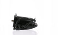 BRPOMC 92C JSUFFIX 40 48 50 HP TILT MOTOR