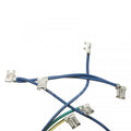 MODULE