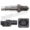 O2 OXYGEN SENSOR