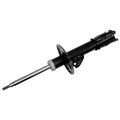 OESPECTRUM PREMIUM STRUT