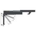 SLIDE OUT AND FLIP DOWN CEILING MOUNT