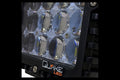 Quake LED auto part installed view