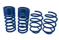 LOWERING SPRINGS FOCUS ST
