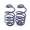 Air Ride Technologies (Ride Tech) springs detail