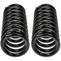 COIL SPRINGS