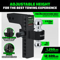 Rhino USA 10In Heavy Duty Drop Hitch - 2In (Black)