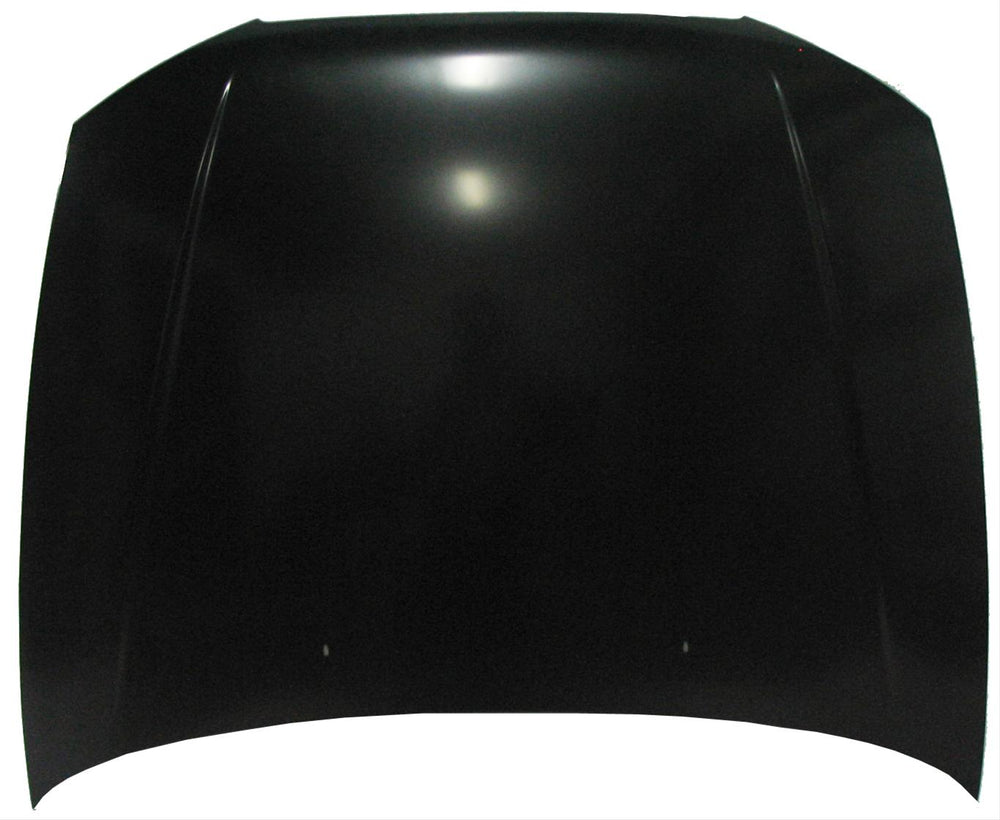 HOOD PANEL ASSY HYUNDAI ACCENT 20002002