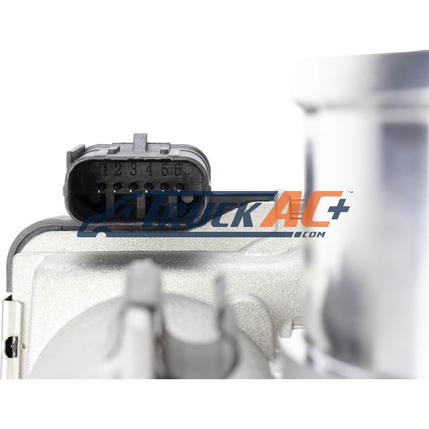 THROTTLE BODY