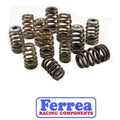 Ferrea 04-07 Honda CRF 250R Single Valve Spring Kit