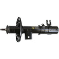 OESPECTRUM PREMIUM STRUT