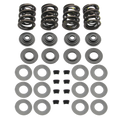 S&S Cycle 81-84 BT Triple Valve Spring Kit