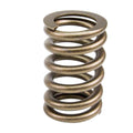 ~(0.6 lbs. 6X3X0)~ LIFTERS SPORTSMAN .904 CENTERBUSHED C-R