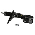 OESPECTRUM PREMIUM STRUT