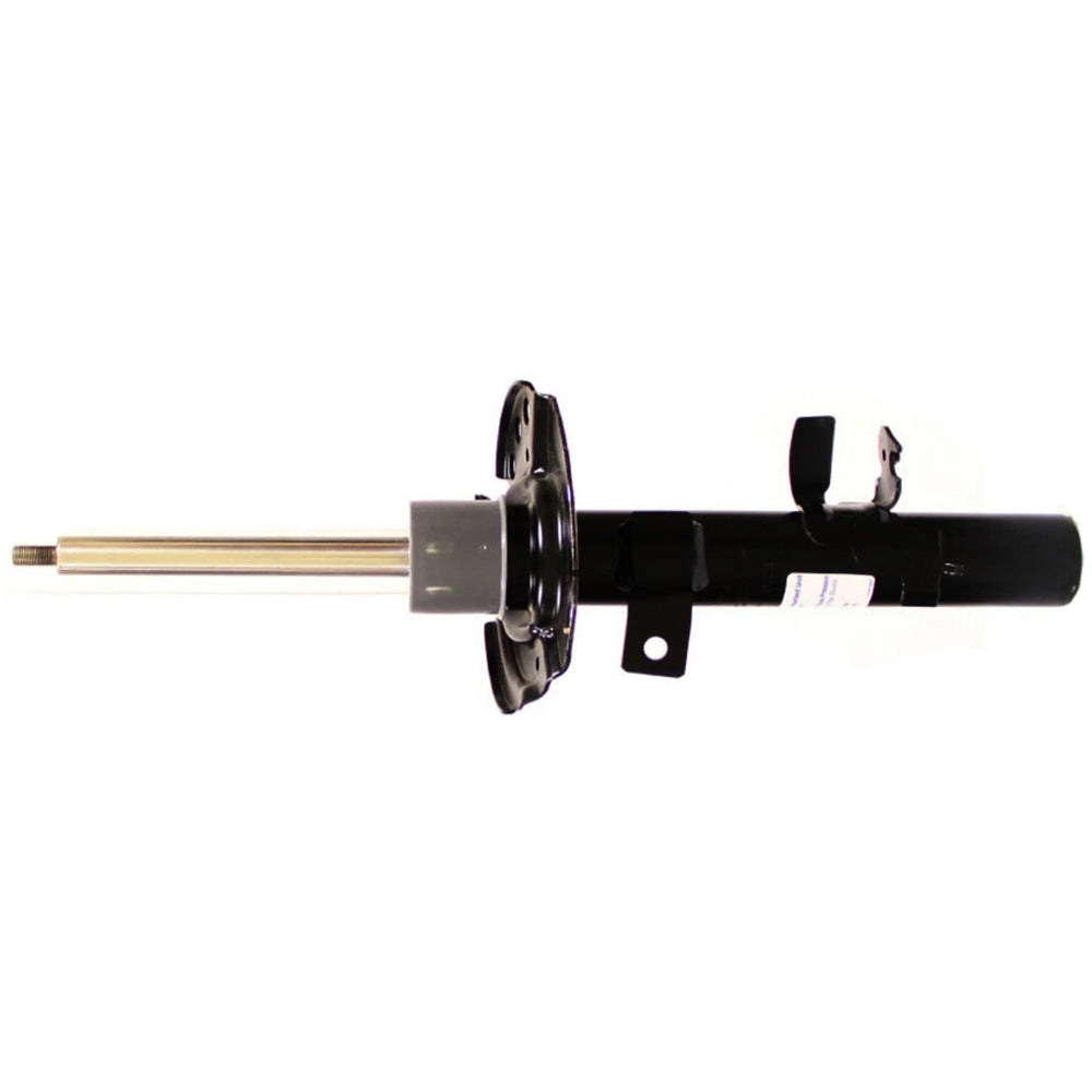 OESPECTRUM STRUT