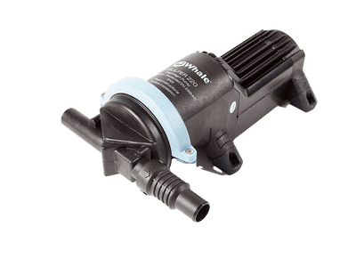 WHALE auto part