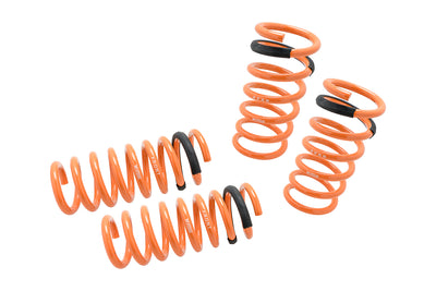 Megan Racing springs