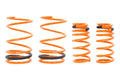 Megan Lowering Springs Element 03-06 2WD AWD 30 LB Springs Rate: Front K1-134 K2-254 Rear K1-321 K2-577