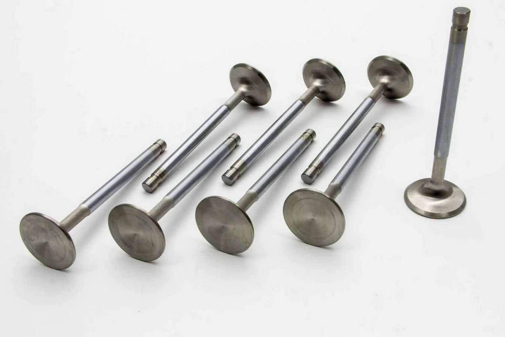 SBF C/6 2.200 Intake Valves
