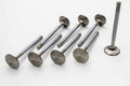 SBF C/6 2.200 Intake Valves