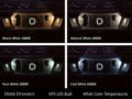 Diode Dynamics 194 LED Bulb HP5 LED - Blue (Single)