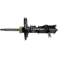 OESPECTRUM PREMIUM STRUT