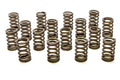 PAC RACING SPRINGS springs