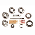 DANA35 FORD BEARING KIT