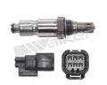 Walker Products Inc. - auto part