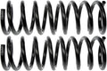 COIL SPRINGS