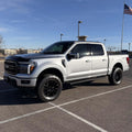ICON 04-08 Ford F-150 2WD 0-2in Rear 2.0 Series Aluminum Shocks VS IR