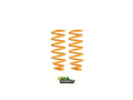 IRONMAN 4X4 springs