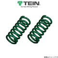 Tein Coilover Spring (Two Springs)