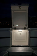 NEVIS LEGACY, SURFACE MOUNT ENGINE
