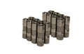 Delphi LS7 Lifters - (16)