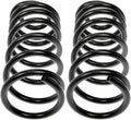 COIL SPRINGS