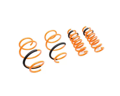 Megan Lowering Springs Toyota Supra 20 (spring rates FR 3.38 rear 10.8)